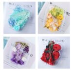 Premium Preserved Dried Rose Floral Ornament