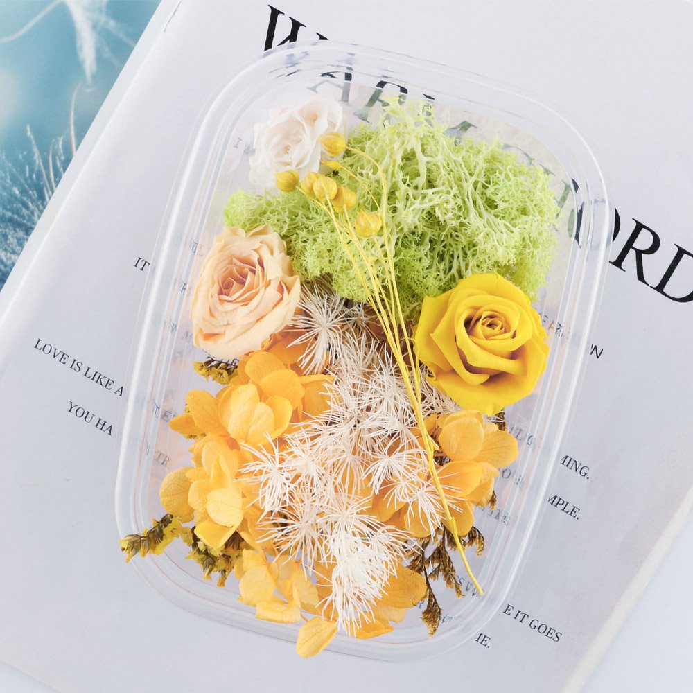 Premium Preserved Dried Rose Floral Ornament