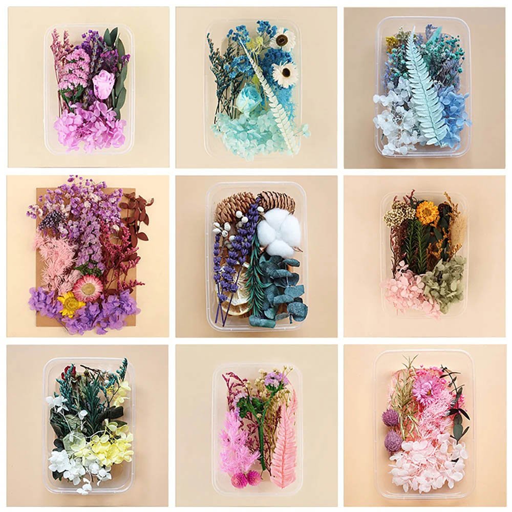 Twisted Wonderland Ita Bag Layout Inspiration